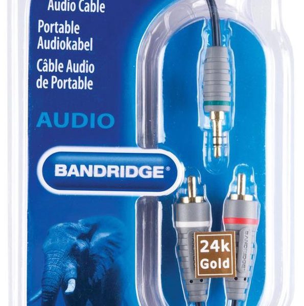 Bandridge - AUDIO CABLE 3.5 TO RCA - 1M